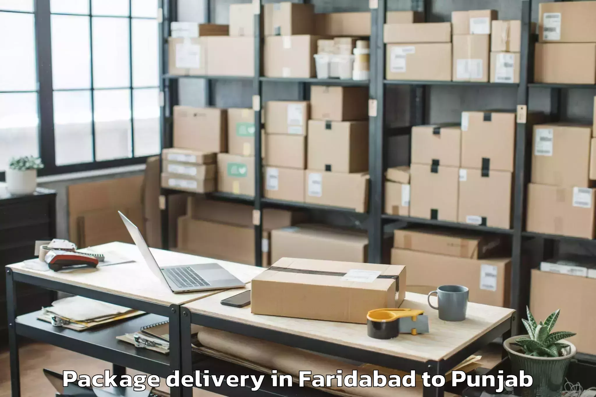 Book Faridabad to Maler Kotla Package Delivery